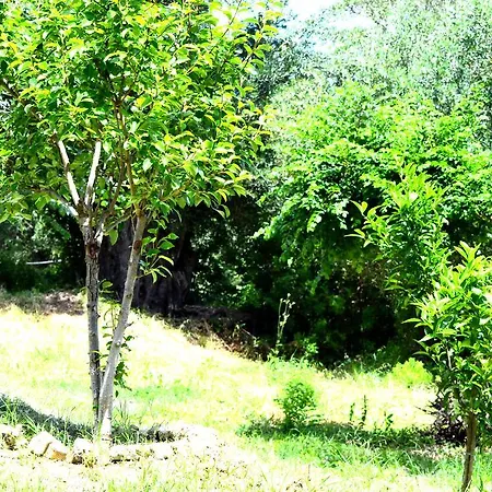 Vila Velanidies In *